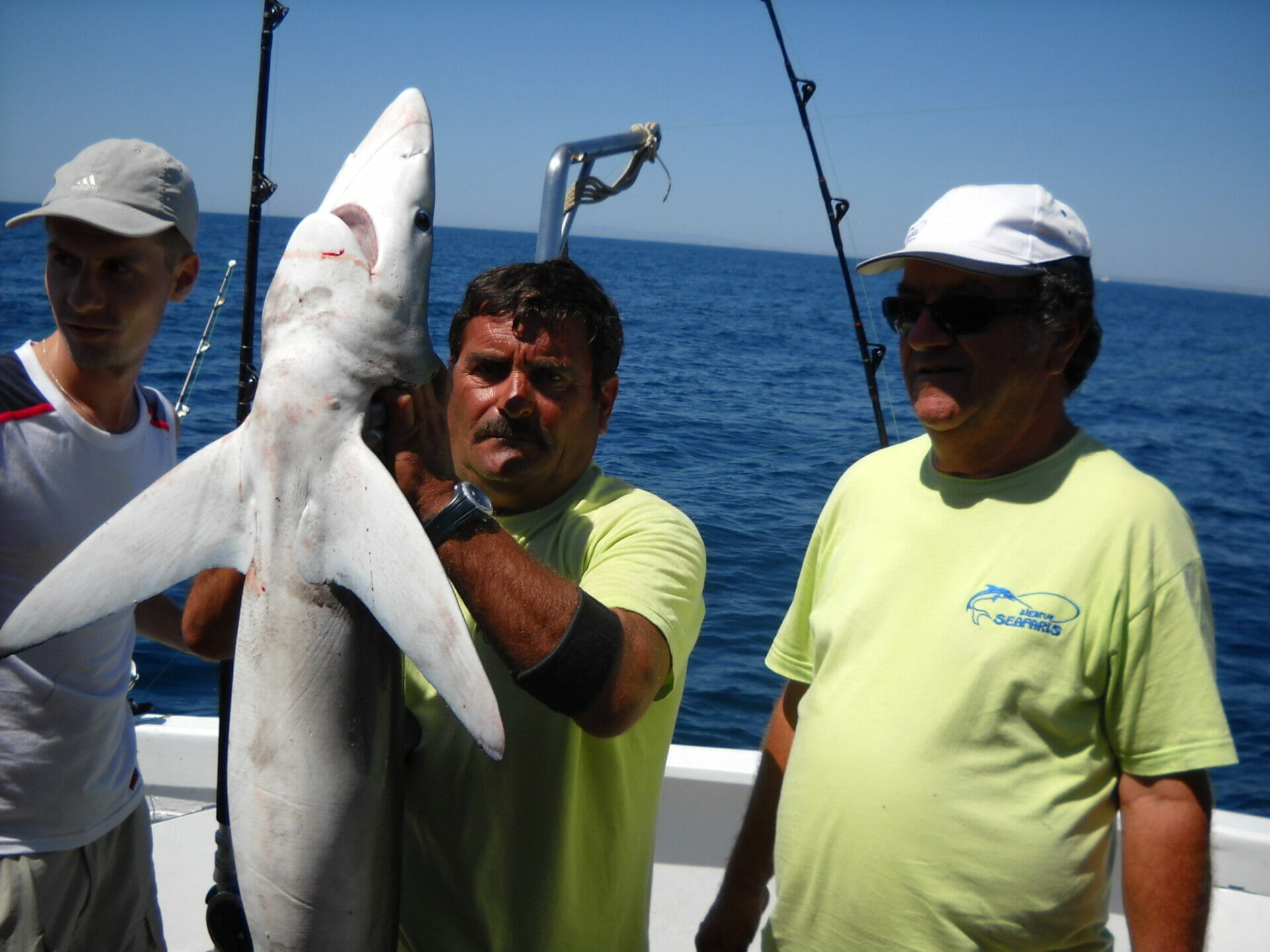 shark fishing albufeira