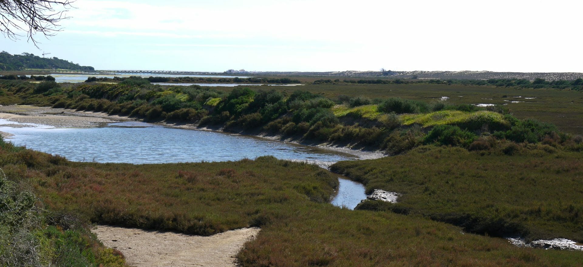 algarve-vale-do-lobo-natural-park-1920x880