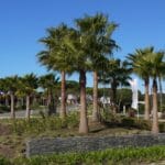algarve-vale-do-lobo-resort-1920x880
