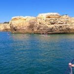 gale-algarve-standup-paddle-albufeira-1296x880