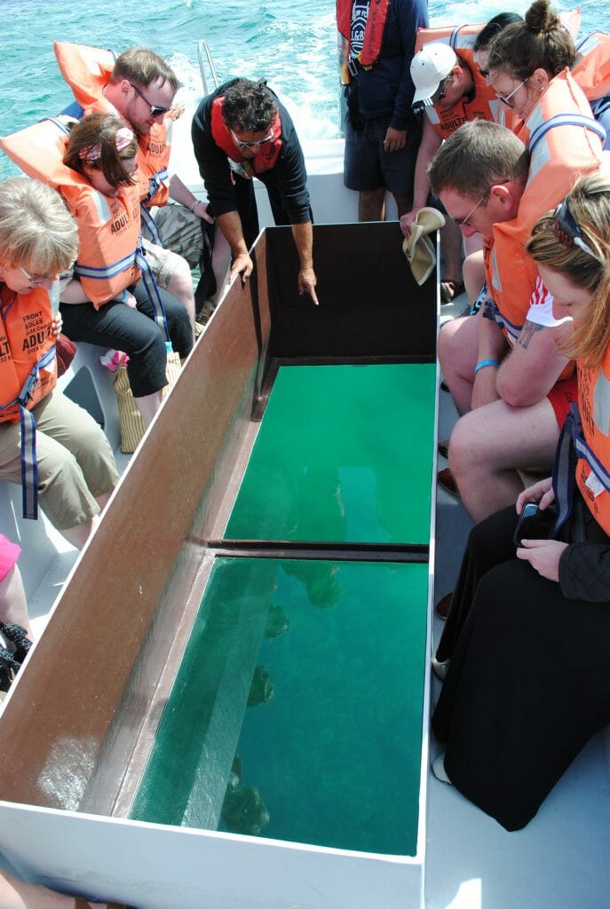 glass-bottom-boat-algarve-boat-trips-687x1024